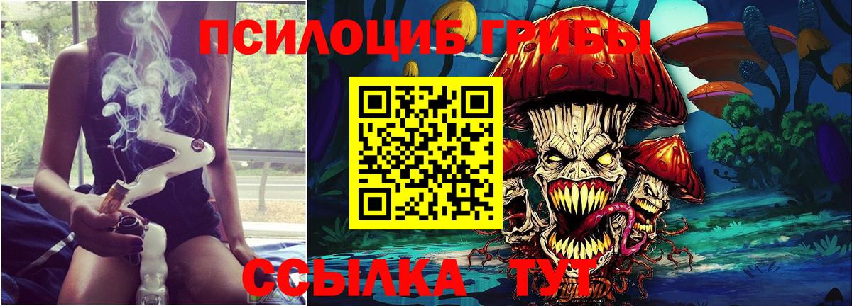 Псилоцибиновые грибы Psilocybine cubensis Бузулук