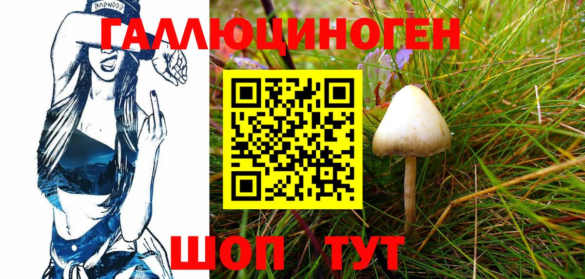 Бузулук  Галлюциногенные грибы MAGIC MUSHROOMS  Вход с VPN  Галлюциногенные грибы GOLDEN TEACHER 